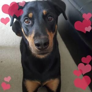 Meet your Posher, Wenyu